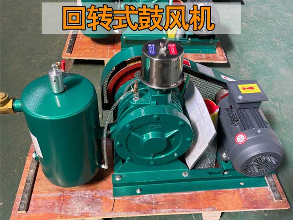 回轉式風機與羅茨風機在性能上有哪些差異？